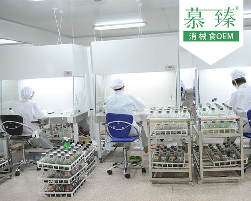 成熟配方魔芋粉生產工廠加工項目 慕臻制作商與五金零售的協同發展